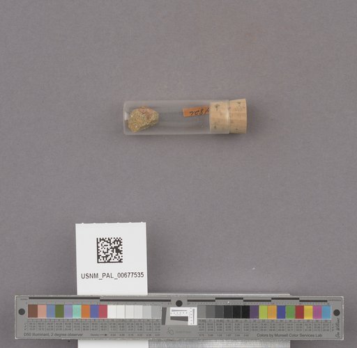 NSF ADBC EPICC TCN