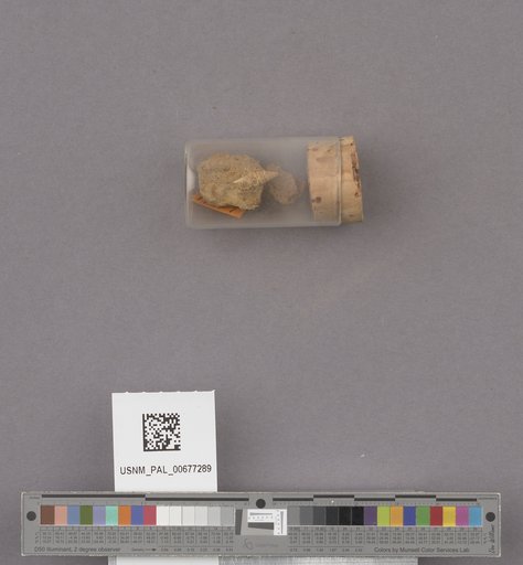 NSF ADBC EPICC TCN