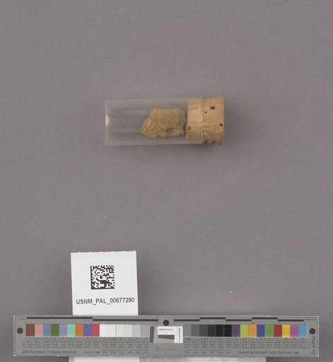 NSF ADBC EPICC TCN
