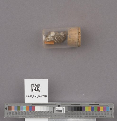 NSF ADBC EPICC TCN