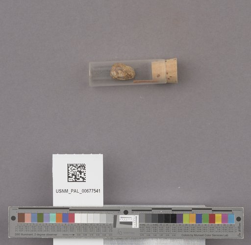 NSF ADBC EPICC TCN