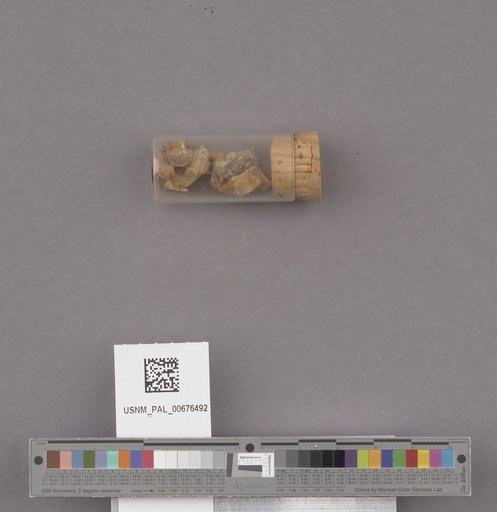 NSF ADBC EPICC TCN