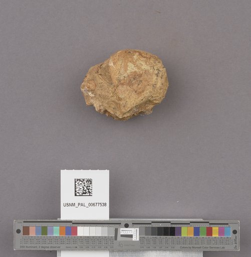 NSF ADBC EPICC TCN