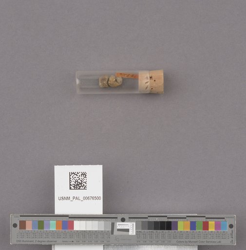 NSF ADBC EPICC TCN