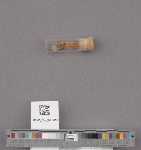 NSF ADBC EPICC TCN