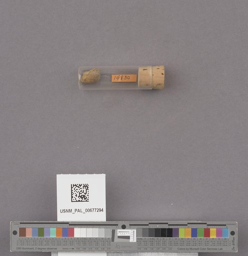 NSF ADBC EPICC TCN