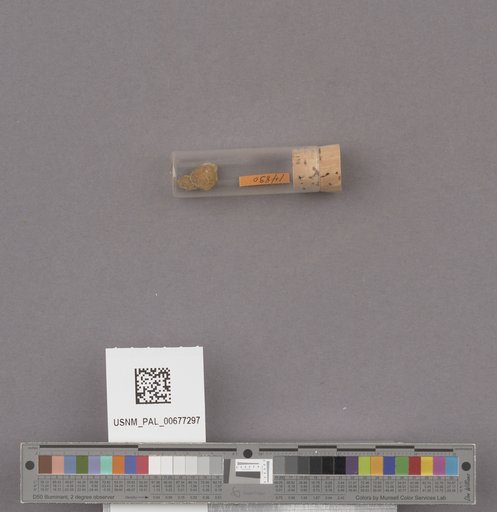 NSF ADBC EPICC TCN
