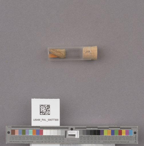 NSF ADBC EPICC TCN