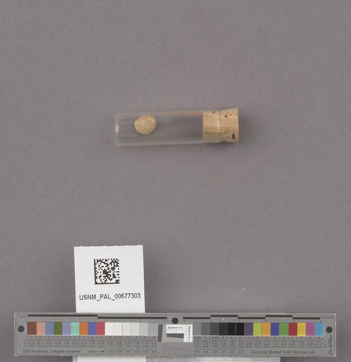 NSF ADBC EPICC TCN