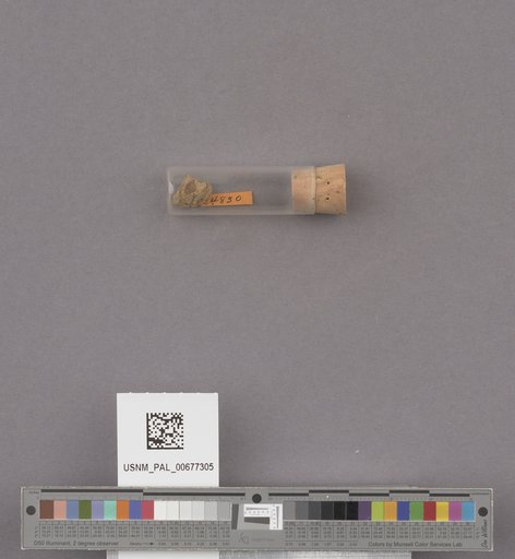 NSF ADBC EPICC TCN