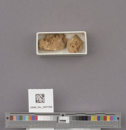 NSF ADBC EPICC TCN