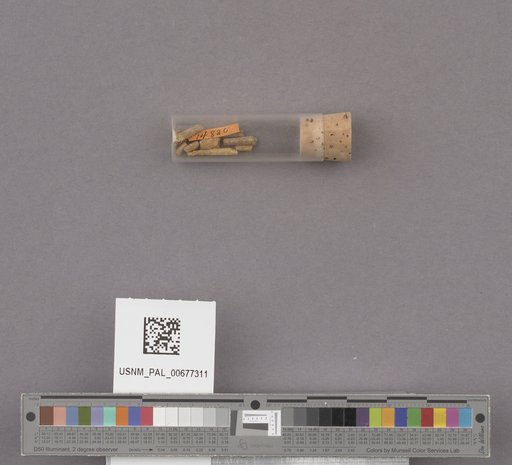 NSF ADBC EPICC TCN