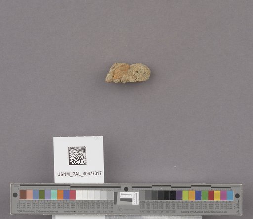 NSF ADBC EPICC TCN