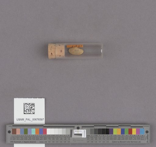 NSF ADBC EPICC TCN