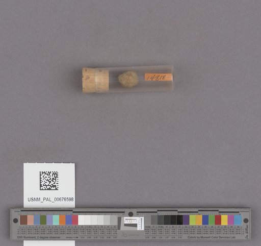 NSF ADBC EPICC TCN