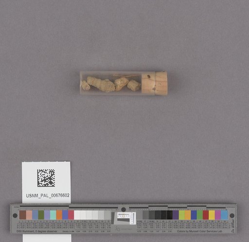 NSF ADBC EPICC TCN