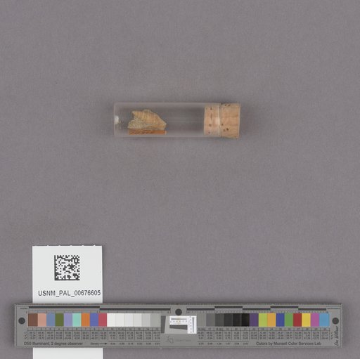 NSF ADBC EPICC TCN