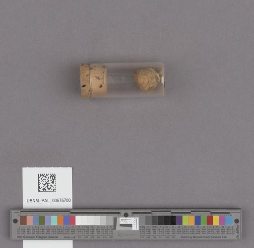 NSF ADBC EPICC TCN