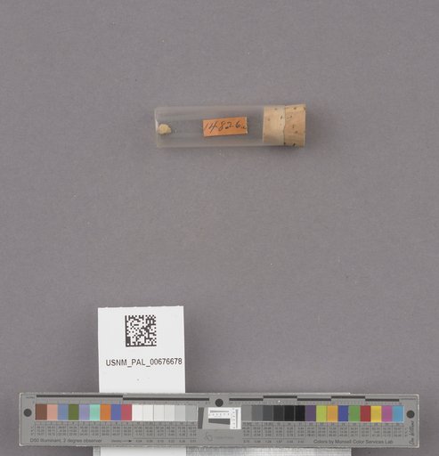 NSF ADBC EPICC TCN