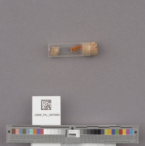 NSF ADBC EPICC TCN