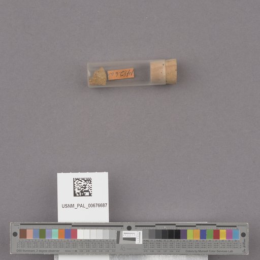 NSF ADBC EPICC TCN