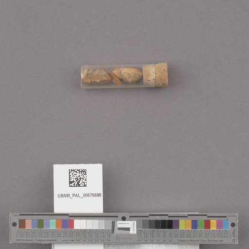 NSF ADBC EPICC TCN
