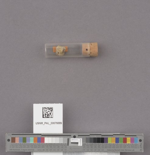 NSF ADBC EPICC TCN
