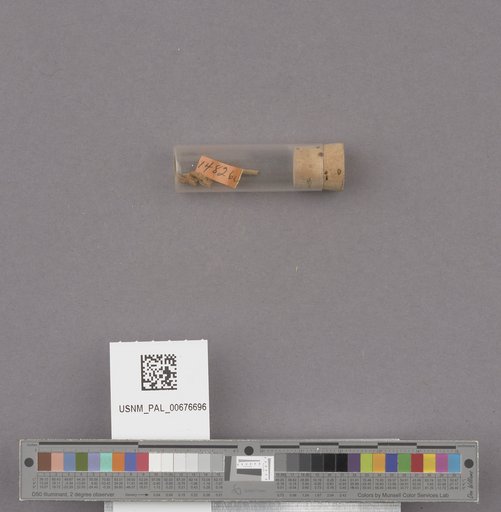 NSF ADBC EPICC TCN