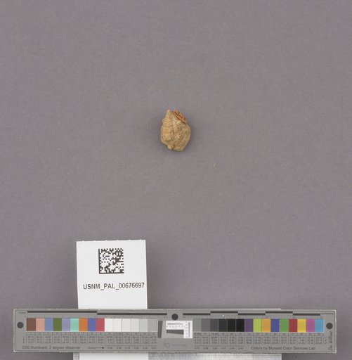 NSF ADBC EPICC TCN