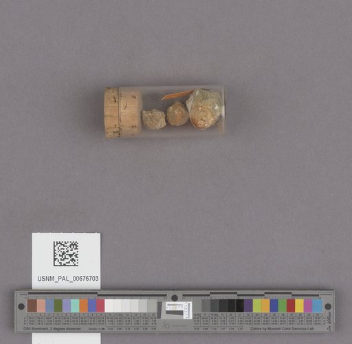 NSF ADBC EPICC TCN
