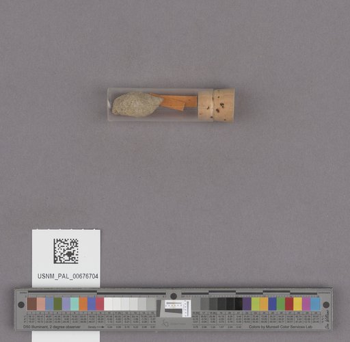 NSF ADBC EPICC TCN