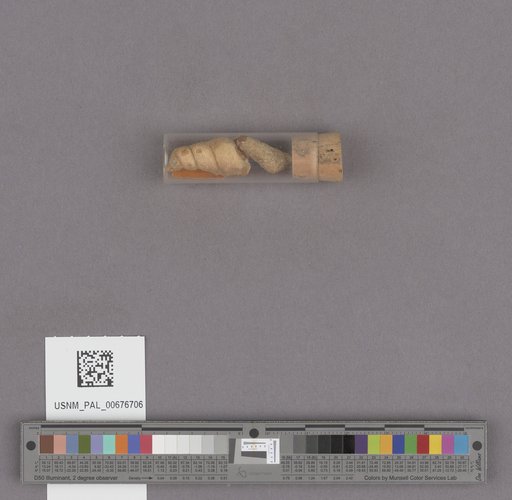 NSF ADBC EPICC TCN