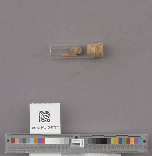 NSF ADBC EPICC TCN