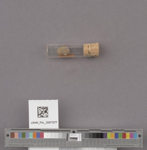 NSF ADBC EPICC TCN