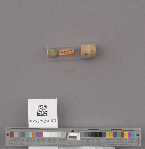 NSF ADBC EPICC TCN