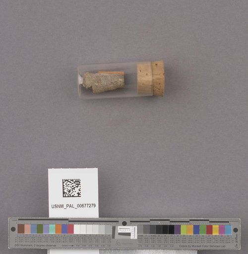 NSF ADBC EPICC TCN