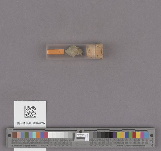 NSF ADBC EPICC TCN