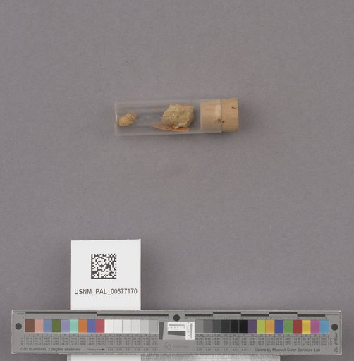 NSF ADBC EPICC TCN