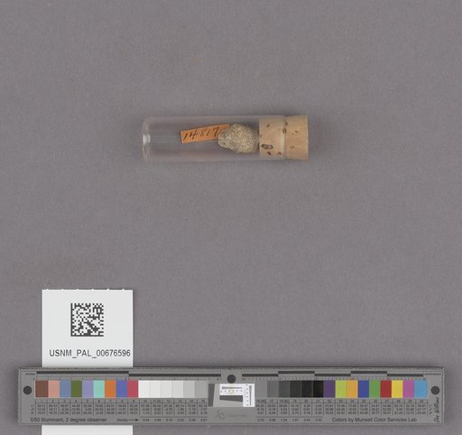 NSF ADBC EPICC TCN
