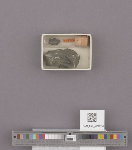 NSF ADBC EPICC TCN