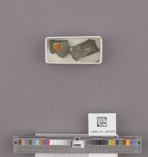 NSF ADBC EPICC TCN