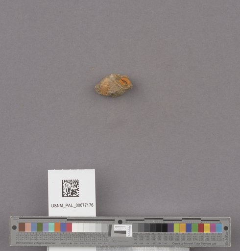 NSF ADBC EPICC TCN
