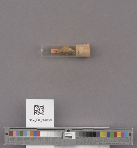 NSF ADBC EPICC TCN