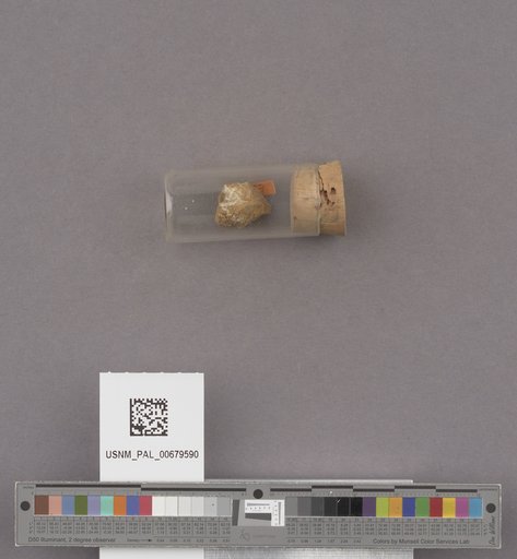 NSF ADBC EPICC TCN