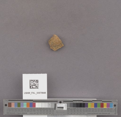 NSF ADBC EPICC TCN