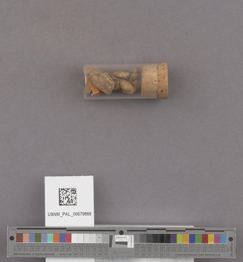 NSF ADBC EPICC TCN