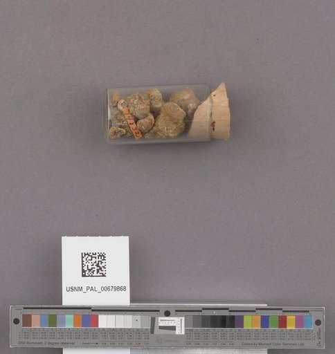 NSF ADBC EPICC TCN