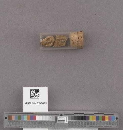 NSF ADBC EPICC TCN