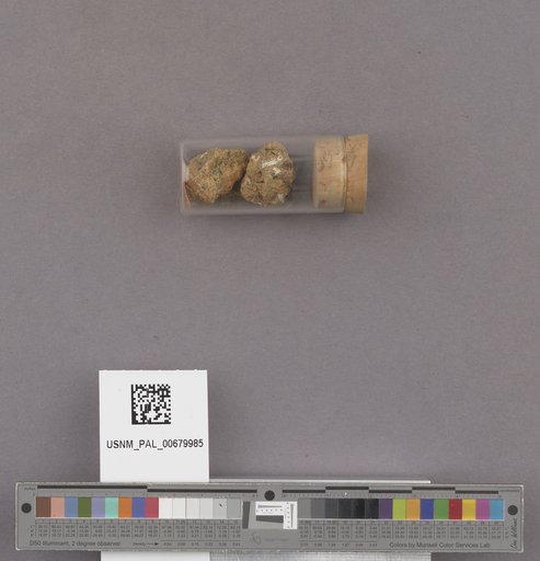 NSF ADBC EPICC TCN