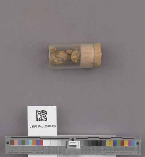 NSF ADBC EPICC TCN